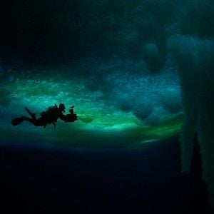 Foto Encuentros en el fin del mundo