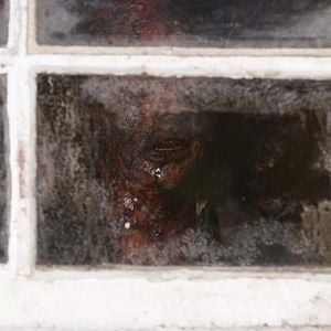 Foto Exorcismo en Connecticut