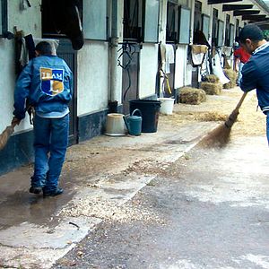 Foto Benjamin Marquet