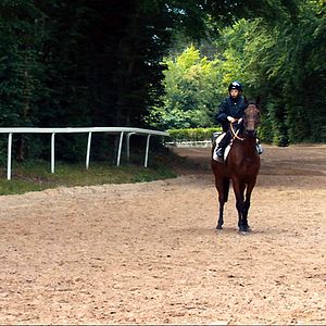 Foto Benjamin Marquet