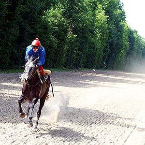 Foto Benjamin Marquet