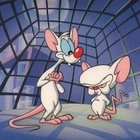 Foto Pinky y Cerebro
