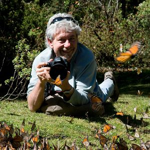 Foto Disneynature: Wings of Life