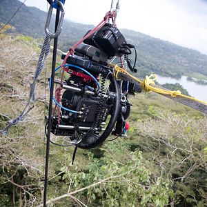 Foto Disneynature: Wings of Life