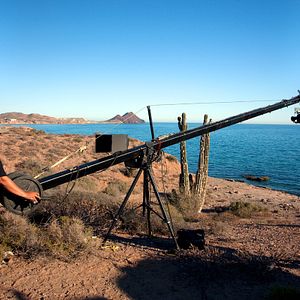 Foto Disneynature: Wings of Life
