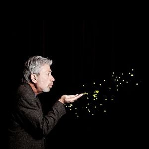 Foto Disneynature: Wings of Life