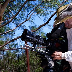 Foto Disneynature: Wings of Life