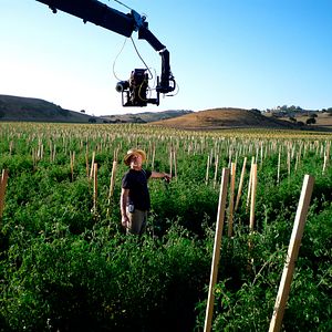 Foto Disneynature: Wings of Life