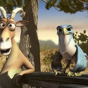 Foto El Lince Perdido