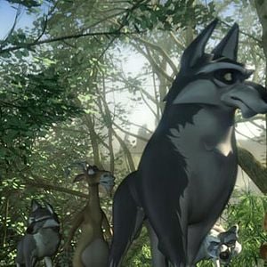 Foto El Lince Perdido