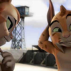 Foto El Lince Perdido