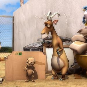 Foto El Lince Perdido