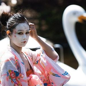 Foto Cerezos en flor