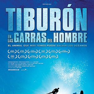 Foto Tiburón, en las garras del hombre