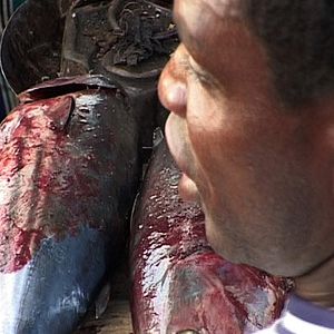 Foto Agnès Fouilleux