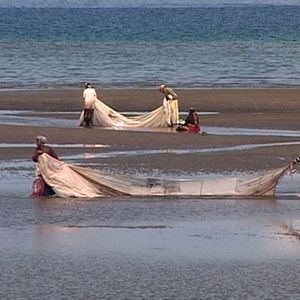 Foto Agnès Fouilleux