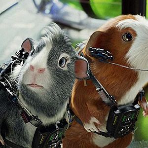 Foto G-Force: Licencia para espiar