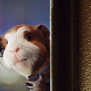 Foto G-Force: Licencia para espiar