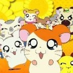 Foto Hamtaro