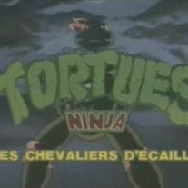 Foto Las tortugas ninja