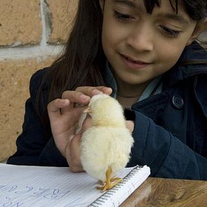 Foto Cosas Insignificantes