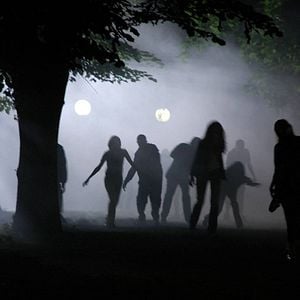 Foto Zone of the dead