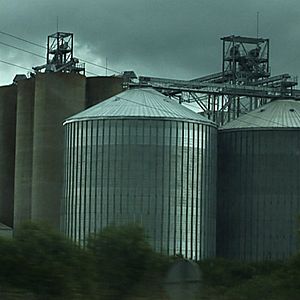 Foto Matthieu Levain