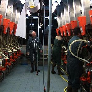 Foto Matthieu Levain