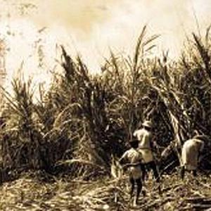 Foto Camille Mauduech