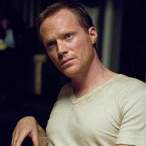 Foto La vida secreta de las abejas