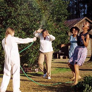 Foto La vida secreta de las abejas