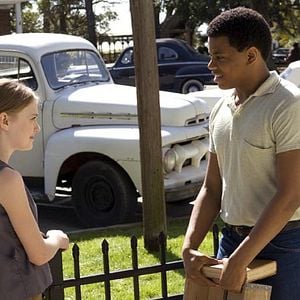 Foto La vida secreta de las abejas