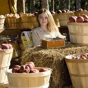 Foto La vida secreta de las abejas