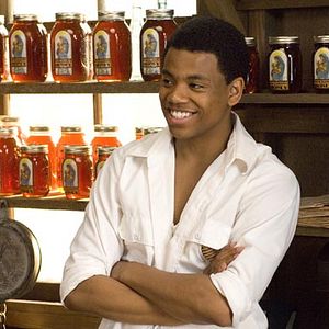 Foto La vida secreta de las abejas