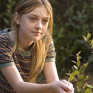 Foto La vida secreta de las abejas