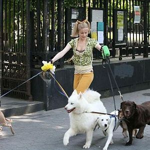 Foto Evan Rachel Wood