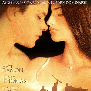 Foto Todos los caballos bellos