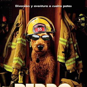 Foto Perro al rescate