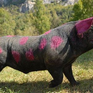 Foto Eric Martin (IV)