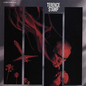 Foto El halcón inglés