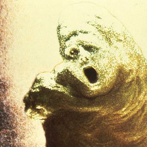 Foto Un viaje alucinante al fondo de la mente