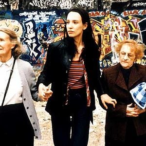 Foto Cada uno busca su gato