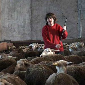 Foto Catherine Pozzo Di Borgo