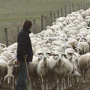 Foto Catherine Pozzo Di Borgo