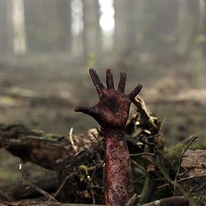 Foto Jon Harris (II)