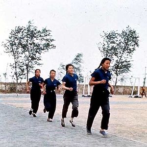 Foto Michelangelo Antonioni