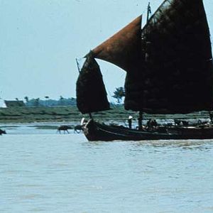 Foto Michelangelo Antonioni