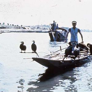 Foto Michelangelo Antonioni