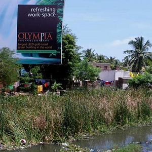 Foto Vamos a hacer dinero