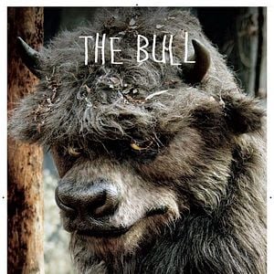 Foto Donde viven los monstruos